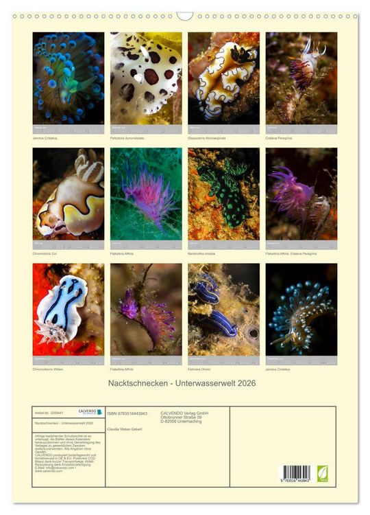 Produktbild: Nacktschnecken - Unterwasserwelt 2026 (Wandkalender 2026 DIN A2 hoch), CALVENDO Monatskalender
