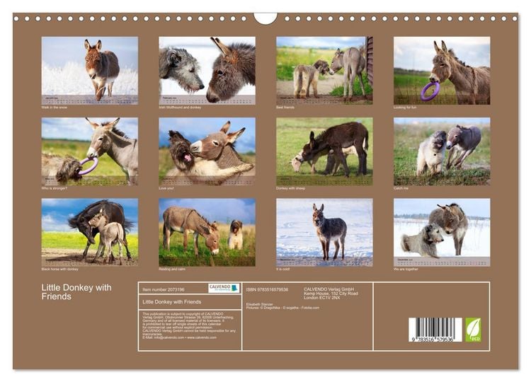 Produktbild: Little Donkey with Friends (Wall Calendar 2026 DIN A3 landscape), CALVENDO 12 Month Wall Calendar