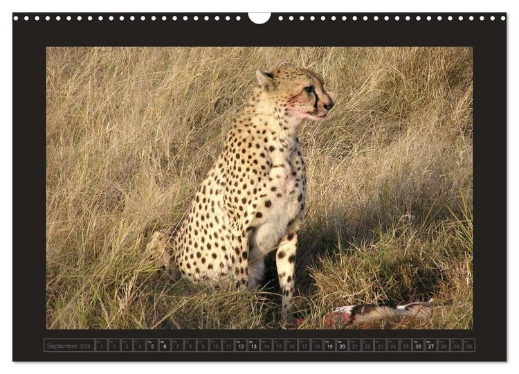 Produktbild: Kenia (Wandkalender 2026 DIN A3 quer), CALVENDO Monatskalender