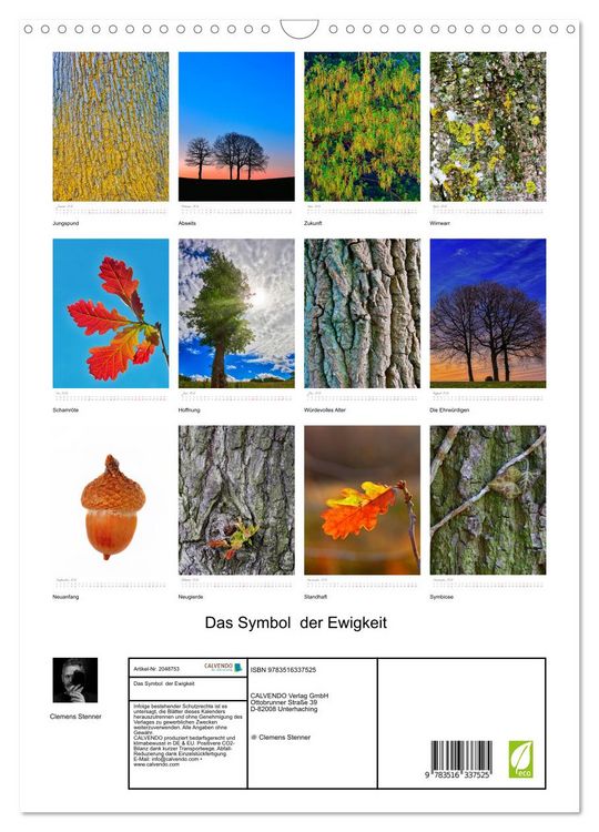 Produktbild: Das Symbol der Ewigkeit (Wandkalender 2026 DIN A3 hoch), CALVENDO Monatskalender