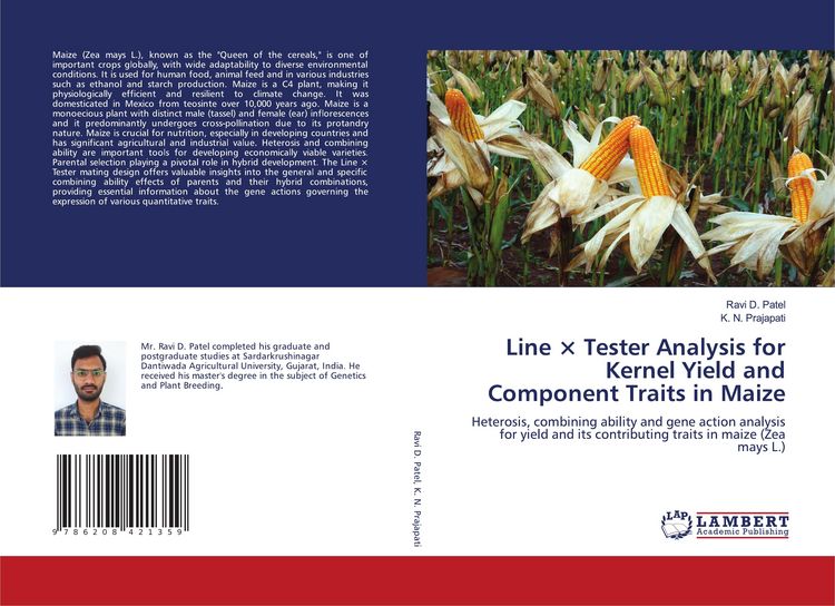 Produktbild: Line &times; Tester Analysis for Kernel Yield and Component Traits in Maize