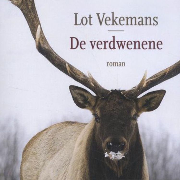 Produktbild: De verdwenene