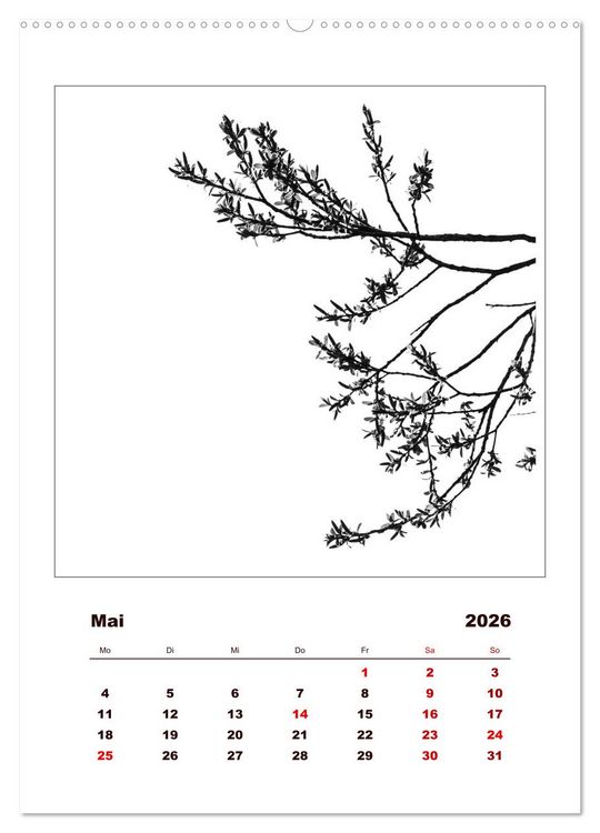 Produktbild: LignoGrafica - Muster und Strukturen der B&auml;ume (Wandkalender 2026 DIN A2 hoch), CALVENDO Monatskalender