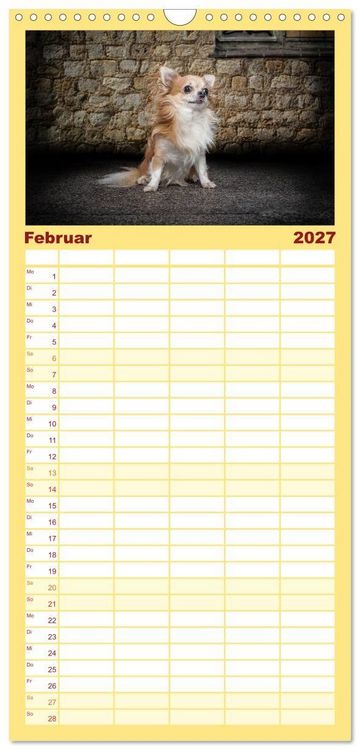 Produktbild: Familienplaner 2027 - Chihuahuas - Cool and Cute mit 5 Spalten (Wandkalender, 21 x 45 cm) CALVENDO