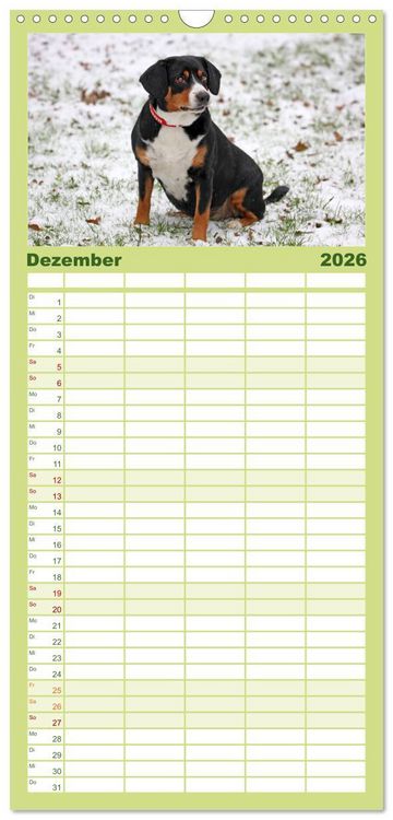Produktbild: Familienplaner 2026 - Entlebucher Sennenhund - treue Freunde mit 5 Spalten (Wandkalender, 21 x 45 cm) CALVENDO