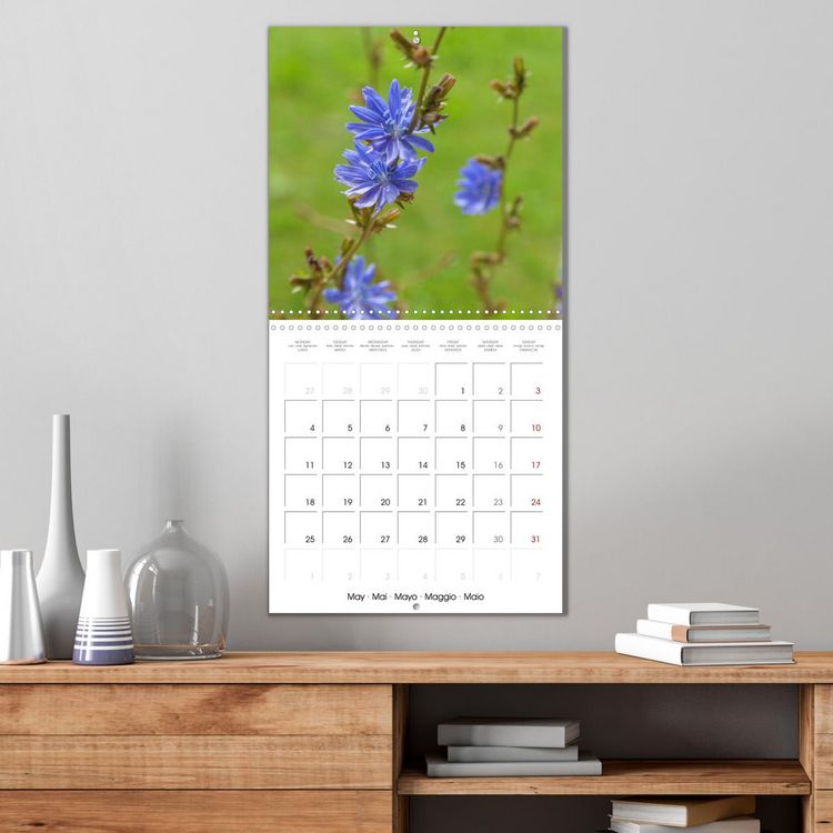 Produktbild: Herbal Haven. Enchanting Healing Plants (Wall Calendar 2026 12 &times; 12 Inch) CALVENDO 12 Month Wall Calendar