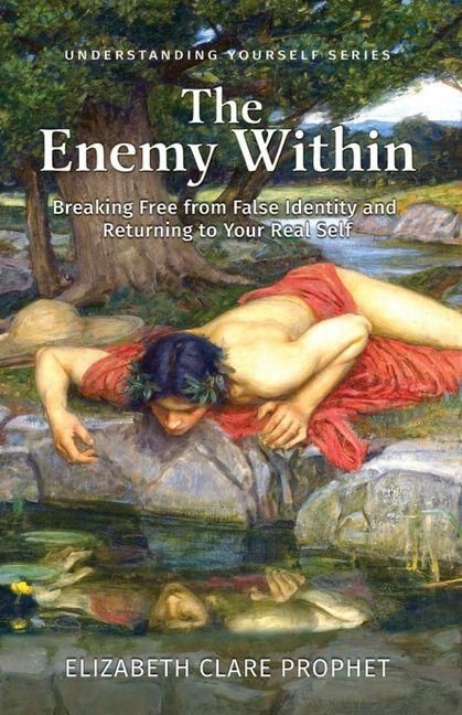 Produktbild: The Enemy Within