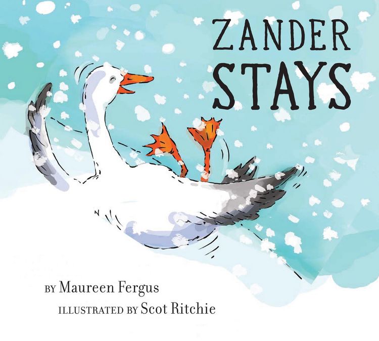 Produktbild: Zander Stays