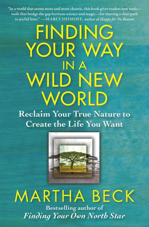 Produktbild: Finding Your Way in a Wild New World
