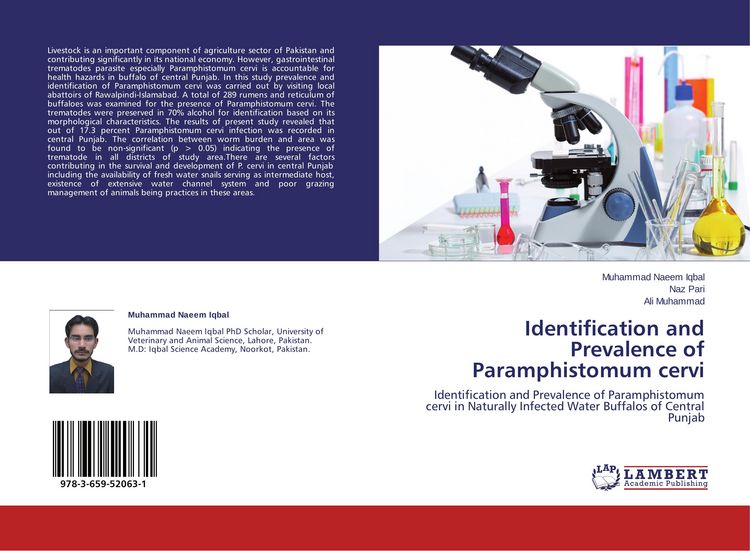 Produktbild: Identification and Prevalence of Paramphistomum cervi