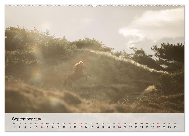 Produktbild: Pferde 2026 Kraft und Anmut (hochwertiger Premium Wandkalender 2026 DIN A2 quer), Kunstdruck in Hochglanz