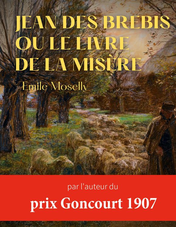 Produktbild: Jean des Brebis ou Le livre de la mis&egrave;re