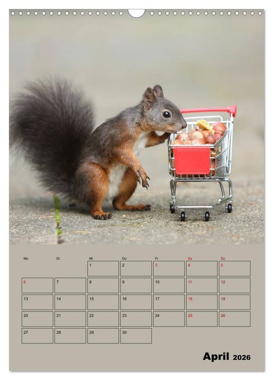 Produktbild: Eichh&ouml;rnchen - Planer (Wandkalender 2026 DIN A3 hoch), CALVENDO Monatskalender