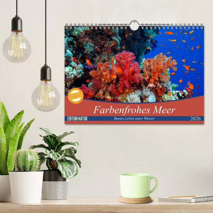 Produktbild: Farbenfrohes Meer (Wandkalender 2026 DIN A4 quer), CALVENDO Monatskalender