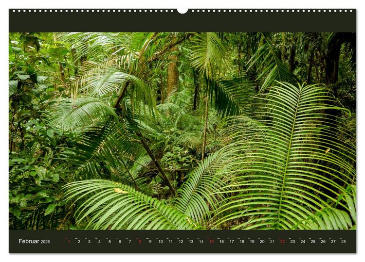 Produktbild: Australien - Farbige Vielfalt (Wandkalender 2026 DIN A2 quer), CALVENDO Monatskalender