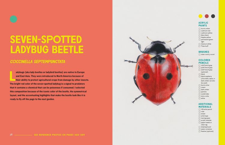 Produktbild: The Insect Artist