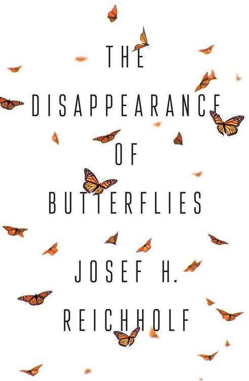 Produktbild: The Disappearance of Butterflies