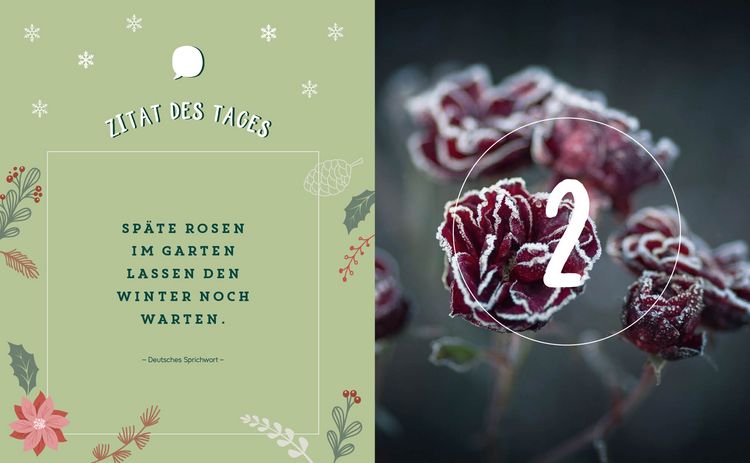 Produktbild: Mein Adventskalender-Buch: Gartenliebe