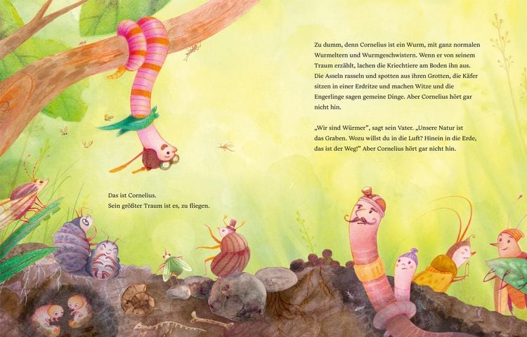 Produktbild: Cornelius will fliegen