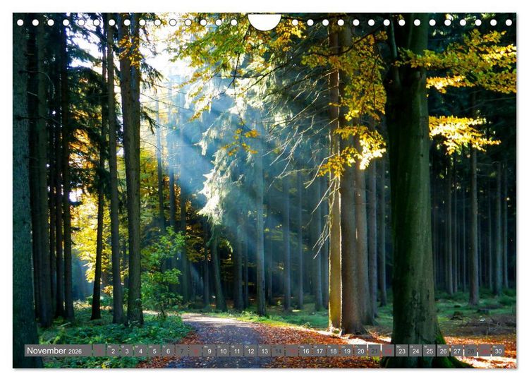 Produktbild: Wege finden immer ein Ziel (Wandkalender 2026 DIN A4 quer), CALVENDO Monatskalender