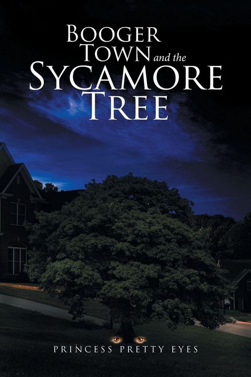 Produktbild: Booger Town and the Sycamore Tree