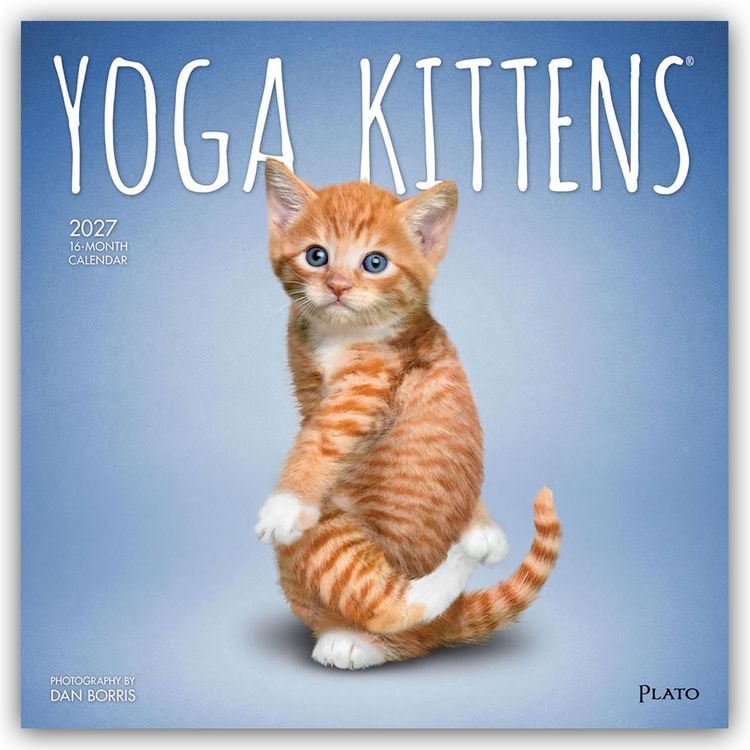Produktbild: Yoga Kittens &ndash; K&auml;tzchen Yoga 2027 &ndash; 16-Monatskalender