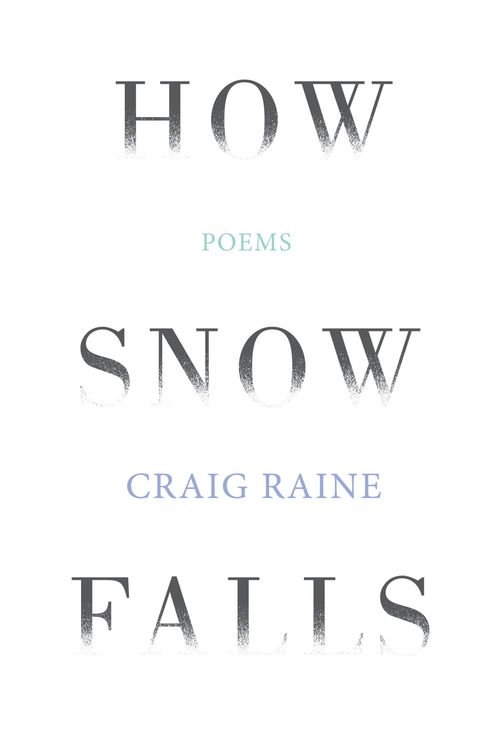 Produktbild: How Snow Falls