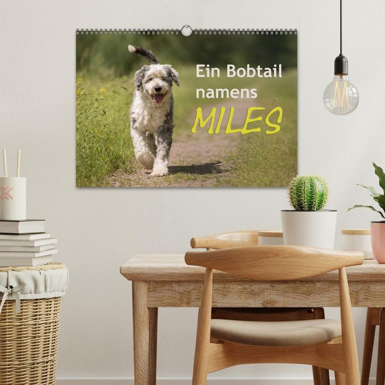Produktbild: Ein Bobtail namens Miles (Wandkalender 2026 DIN A3 quer), CALVENDO Monatskalender