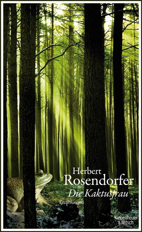 Produktbild: Die Kaktusfrau