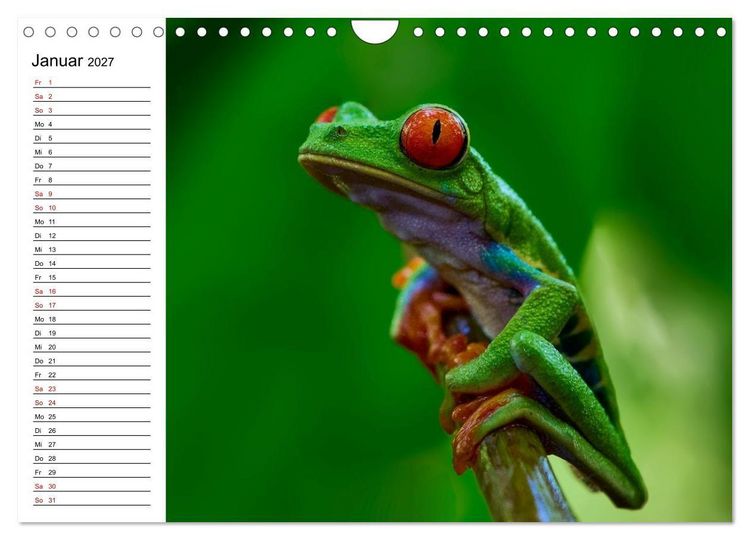 Produktbild: Costa Rica &ndash; Tierparadies im Regenwald (Wandkalender 2027 DIN A4 quer), CALVENDO Monatskalender