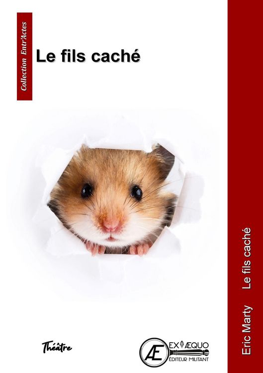 Produktbild: Le fils cach&eacute;
