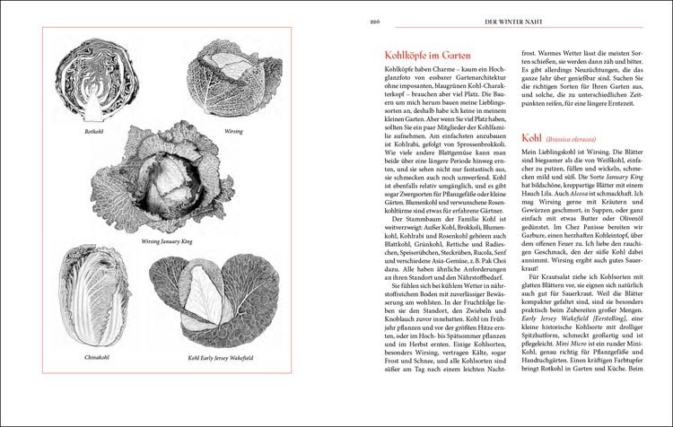 Produktbild: The Art of Simple Food (X)