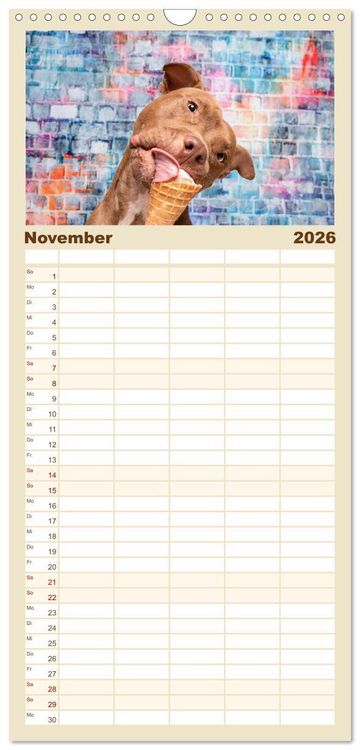 Produktbild: Familienplaner 2026 - Cool Dogs - Hunde-Spa&szlig; im Studio mit 5 Spalten (Wandkalender, 21 x 45 cm) CALVENDO