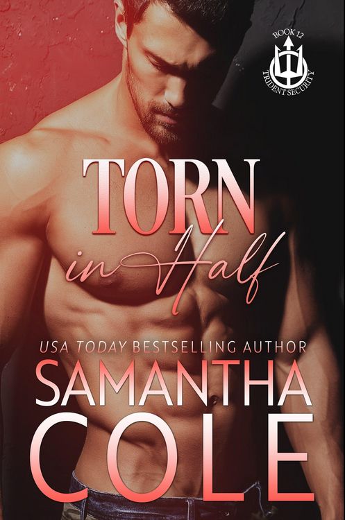 Produktbild: Torn in Half (Trident Security Series, #12)