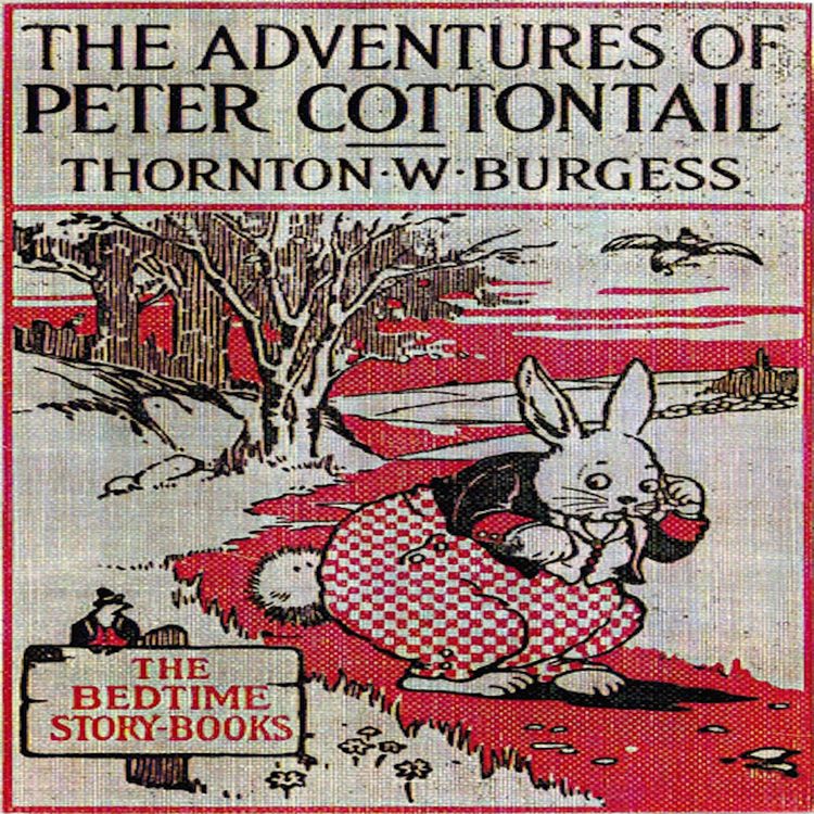 Produktbild: The Adventures of Peter Cottontail