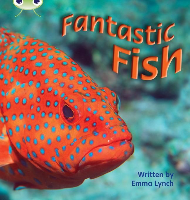 Produktbild: Bug Club Phonics - Phase 4 Unit 12: Fantastic Fish