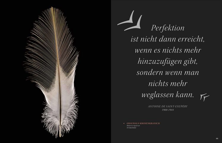 Produktbild: Federn