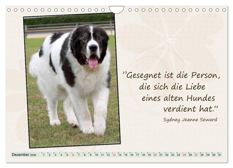 Produktbild: Mit Hundezitaten gut durchs Jahr / CH-Version (Wandkalender 2026 DIN A4 quer), CALVENDO Monatskalender