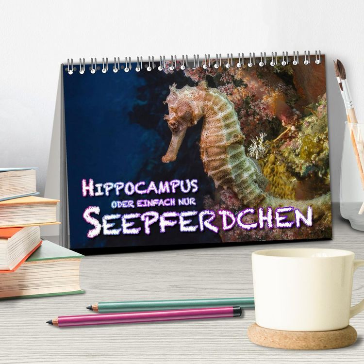Produktbild: Hippocampus oder einfach nur Seepferdchen (Tischkalender 2026 DIN A5 quer), CALVENDO Monatskalender