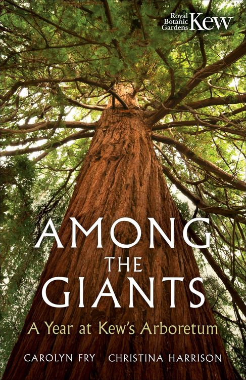 Produktbild: Among the Giants
