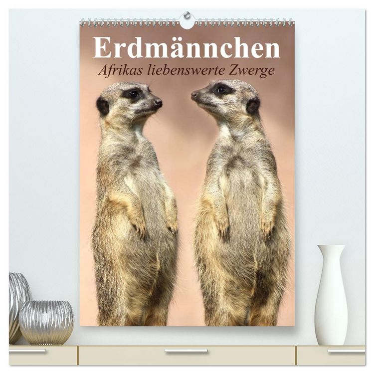 Produktbild: Erdm&auml;nnchen - Afrikas liebenswerte Zwerge (hochwertiger Premium Wandkalender 2026 DIN A2 hoch), Kunstdruck in Hochglanz