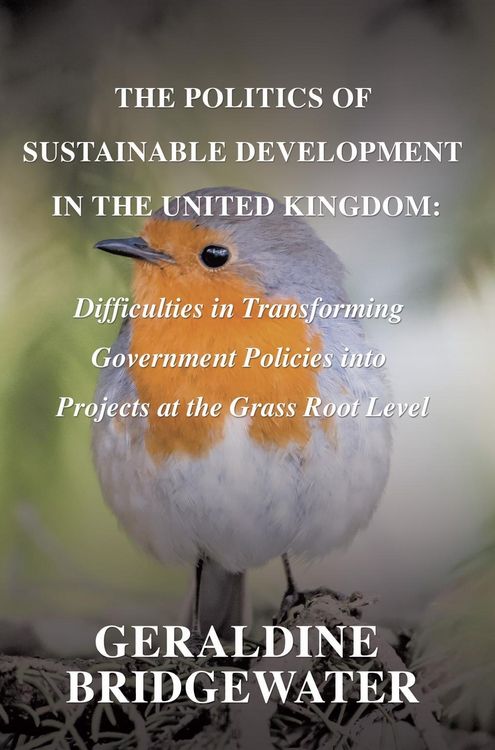 Produktbild: Politics Of Sustainable Development In The United Kingdom