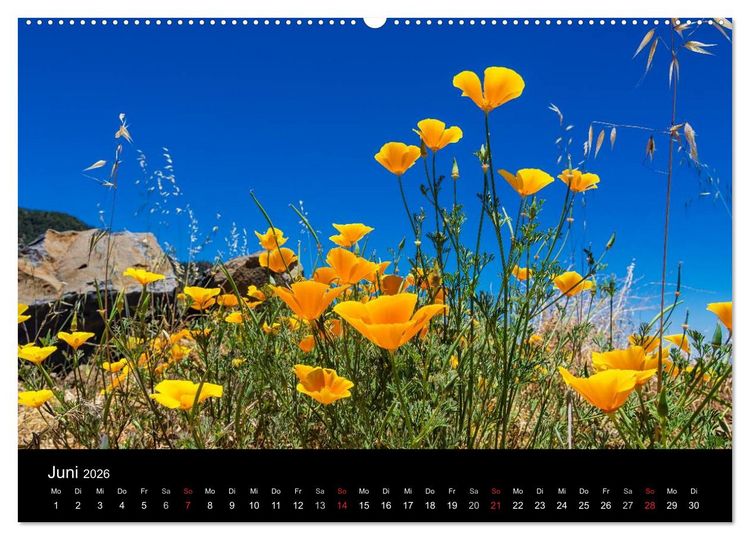 Produktbild: Teneriffa (Wandkalender 2026 DIN A2 quer), CALVENDO Monatskalender