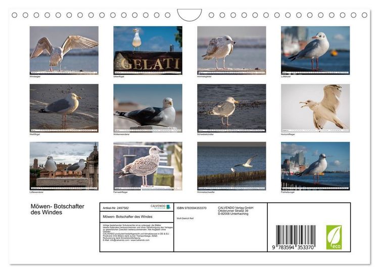 Produktbild: M&ouml;wen- Botschafter des Windes (Wandkalender 2027 DIN A4 quer), CALVENDO Monatskalender