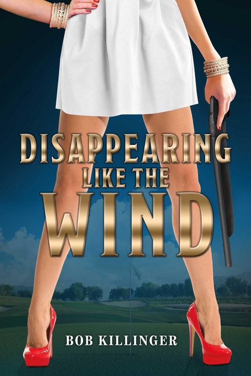 Produktbild: Disappearing like the Wind