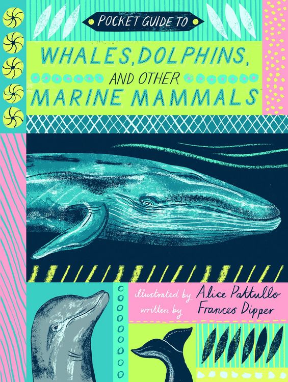 Produktbild: Pocket Guide to Whales, Dolphins and other Marine Mammals