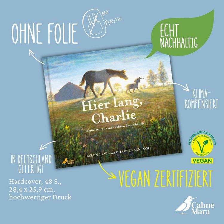 Produktbild: Hier lang, Charlie