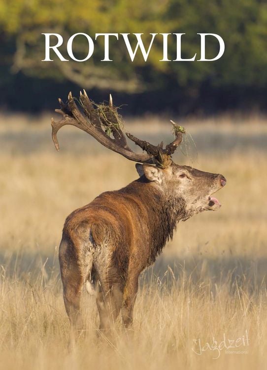 Produktbild: Rotwild
