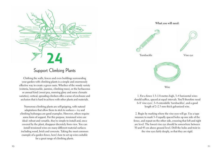 Produktbild: Fifty Things to Do in the Garden