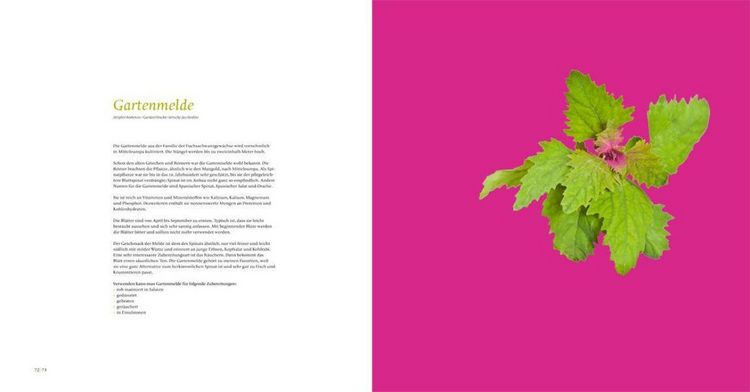 Produktbild: Kr&auml;uter